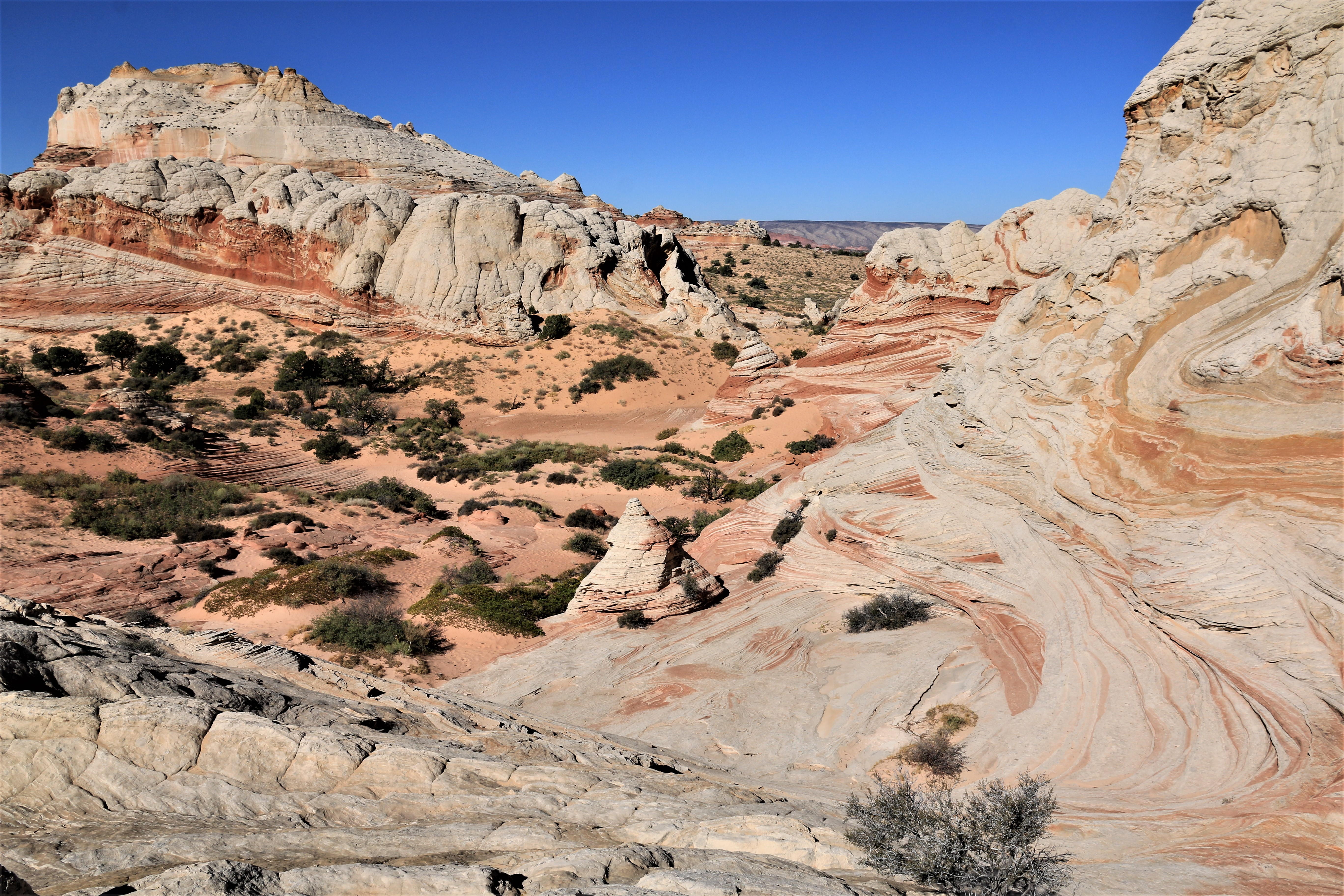 Vermillion Cliffs NM